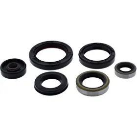 822195-CL77 VERTEX Oil Seal Kit