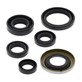 822278 VERTEX Oil Seal Kit