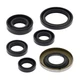 Vertex Oil Seal Kit 822278